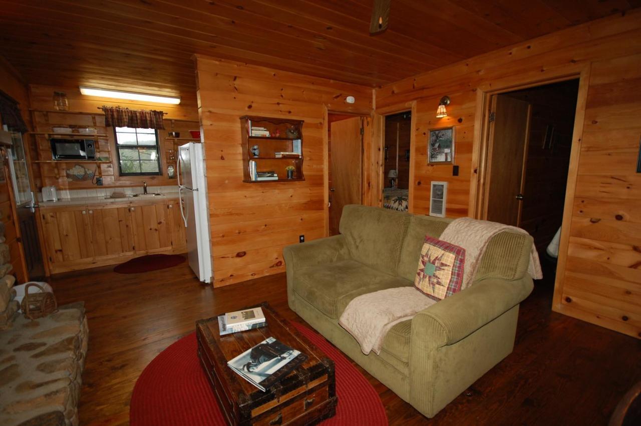 Mountain Springs Cabins Candler Luaran gambar