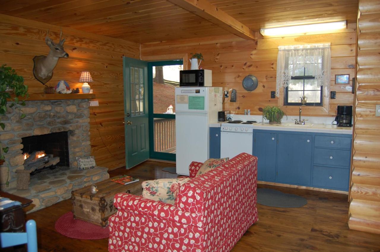 Mountain Springs Cabins Candler Luaran gambar