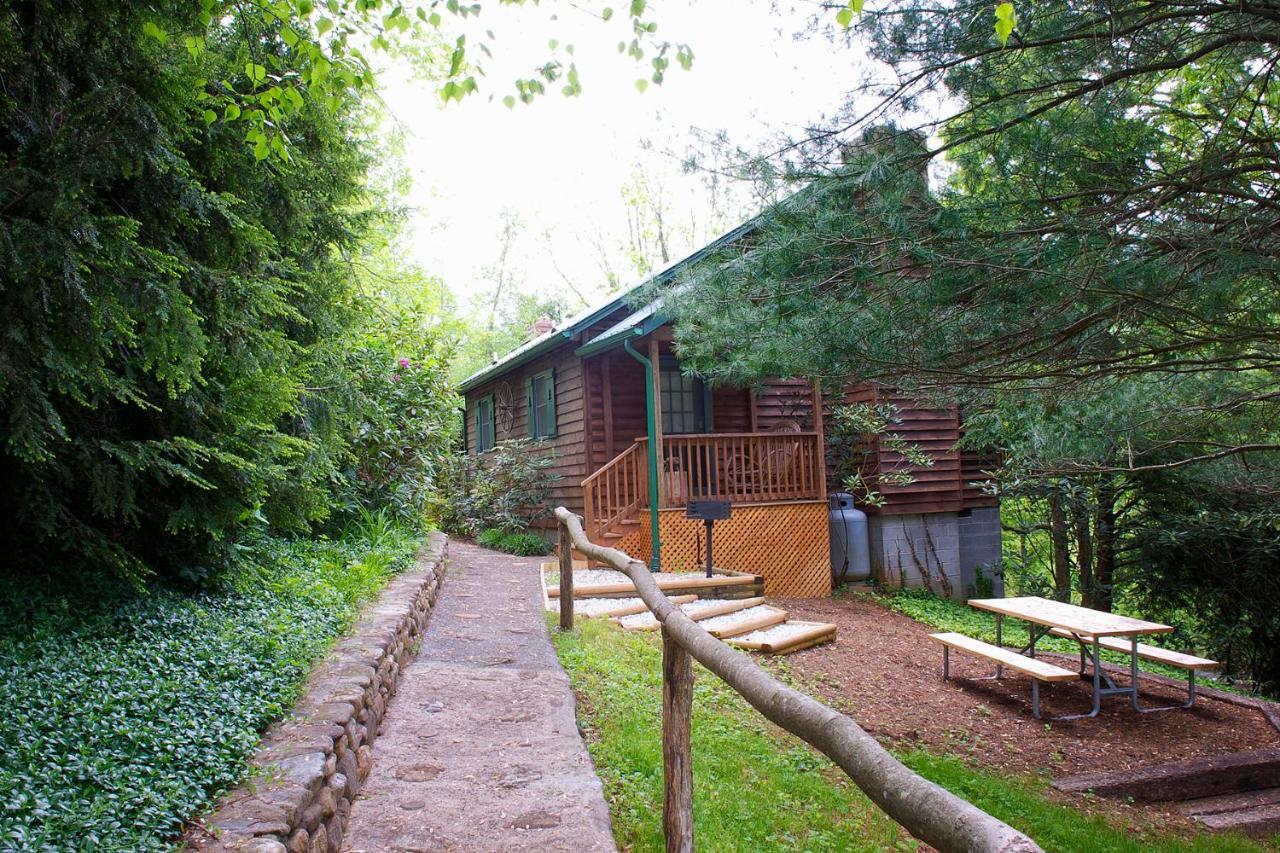Mountain Springs Cabins Candler Luaran gambar