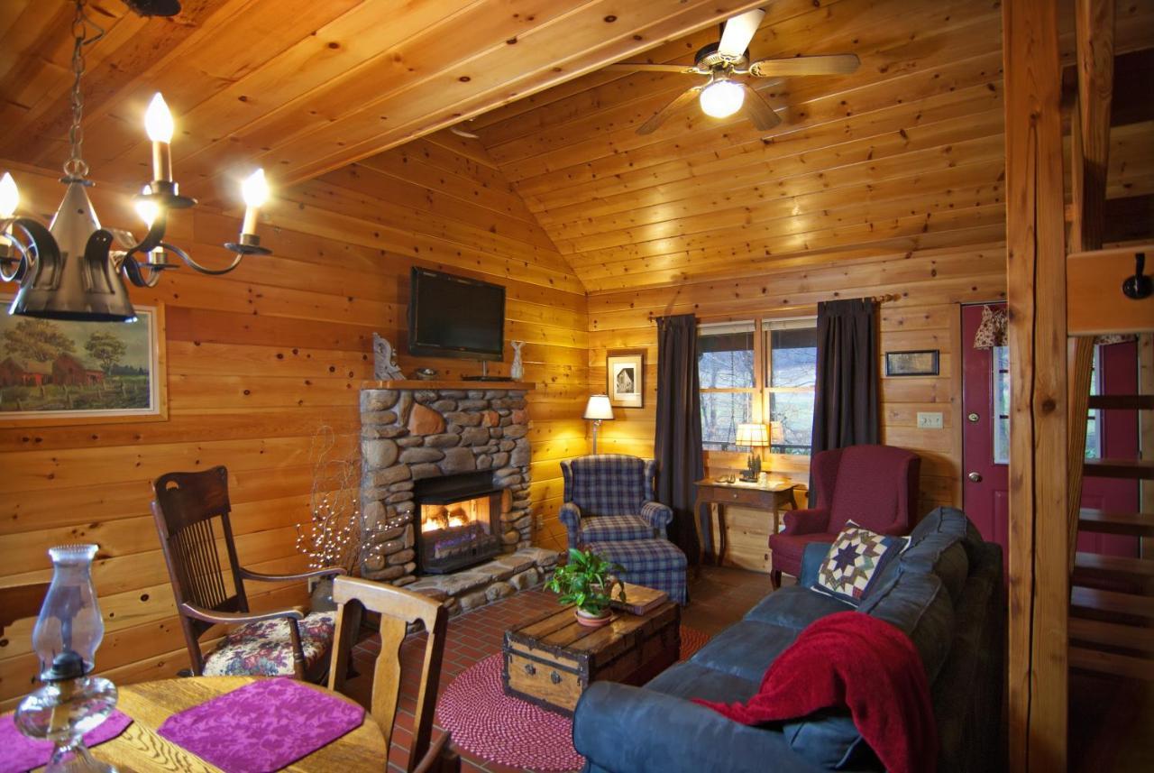 Mountain Springs Cabins Candler Luaran gambar